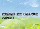 程如何组词（程怎么组词 汉字程怎么组词）