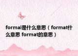 formal是什么意思（format什么意思 format的意思）