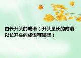 由长开头的成语（开头是长的成语 以长开头的成语有哪些）