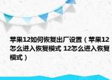 苹果12如何恢复出厂设置（苹果12怎么进入恢复模式 12怎么进入恢复模式）