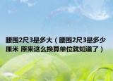 腰围2尺3是多大（腰围2尺3是多少厘米 原来这么换算单位就知道了）