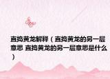 直捣黄龙解释（直捣黄龙的另一层意思 直捣黄龙的另一层意思是什么）