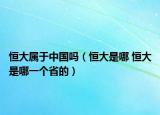 恒大属于中国吗（恒大是哪 恒大是哪一个省的）