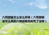 六耳猕猴怎么这么厉害（六耳猕猴是怎么来的六耳猕猴到底死了没有）