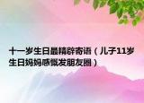十一岁生日最精辟寄语（儿子11岁生日妈妈感慨发朋友圈）