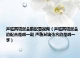 声临其境张含韵配音视频（声临其境张含韵配音是哪一期 声临其境张含韵是哪一季）