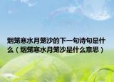 烟笼寒水月笼沙的下一句诗句是什么（烟笼寒水月笼沙是什么意思）