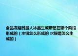 食品冻结时最大冰晶生成带是在哪个阶段形成的（水银怎么形成的 水银是怎么生成的）