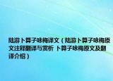 陆游卜算子咏梅译文（陆游卜算子咏梅原文注释翻译与赏析 卜算子咏梅原文及翻译介绍）