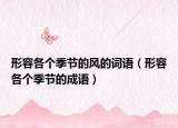 形容各个季节的风的词语（形容各个季节的成语）