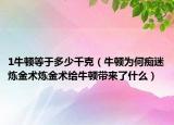 1牛顿等于多少千克（牛顿为何痴迷炼金术炼金术给牛顿带来了什么）