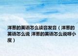 洋葱的英语怎么读音发音（洋葱的英语怎么说 洋葱的英语怎么说呀小度）