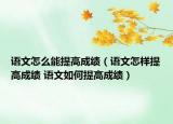 语文怎么能提高成绩（语文怎样提高成绩 语文如何提高成绩）