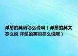 洋葱的英语怎么说啊（洋葱的英文怎么说 洋葱的英语怎么说呢）