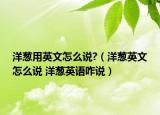 洋葱用英文怎么说?（洋葱英文怎么说 洋葱英语咋说）