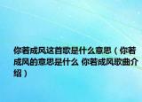 你若成风这首歌是什么意思（你若成风的意思是什么 你若成风歌曲介绍）