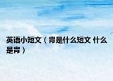 英语小短文（胄是什么短文 什么是胄）