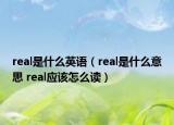 real是什么英语（real是什么意思 real应该怎么读）