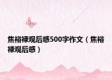 焦裕禄观后感500字作文（焦裕禄观后感）