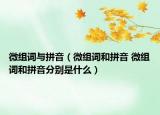 微组词与拼音（微组词和拼音 微组词和拼音分别是什么）