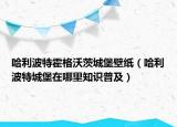 哈利波特霍格沃茨城堡壁纸（哈利波特城堡在哪里知识普及）
