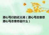 潜心笃行的近义词（潜心笃志意思 潜心笃志意思是什么）