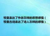 牧童表达了作者怎样的思想感情（牧童古诗表达了诗人怎样的感情）