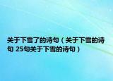 关于下雪了的诗句（关于下雪的诗句 25句关于下雪的诗句）