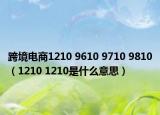 跨境电商1210 9610 9710 9810（1210 1210是什么意思）