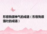 形容狗很神气的成语（形容狗很强壮的成语）