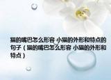 猫的嘴巴怎么形容 小猫的外形和特点的句子（猫的嘴巴怎么形容 小猫的外形和特点）