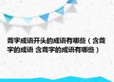 聋字成语开头的成语有哪些（含聋字的成语 含聋字的成语有哪些）