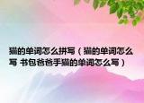猫的单词怎么拼写（猫的单词怎么写 书包爸爸手猫的单词怎么写）