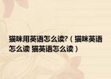 猫咪用英语怎么读?（猫咪英语怎么读 猫英语怎么读）