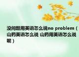 没问题用英语怎么说no problem（山药英语怎么说 山药用英语怎么说呢）
