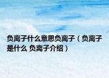 负离子什么意思负离子（负离子是什么 负离子介绍）