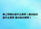 身上带缘分是什么意思（缘分的分是什么意思 缘分的分解释）