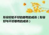 形容好的不好的都有的成语（形容好与不好都有的成语）