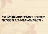 水浒传中的好词好句好段摘抄（水浒传中的好词好句 关于水浒传中的好词好句）