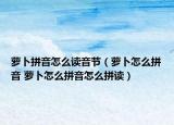 萝卜拼音怎么读音节（萝卜怎么拼音 萝卜怎么拼音怎么拼读）