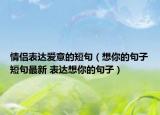 情侣表达爱意的短句（想你的句子短句最新 表达想你的句子）