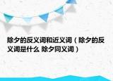 除夕的反义词和近义词（除夕的反义词是什么 除夕同义词）