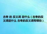 古老 的 反义词 是什么（古老的反义词是什么 古老的反义词有哪些）