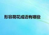 形容荷花成语有哪些