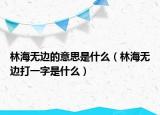 林海无边的意思是什么（林海无边打一字是什么）