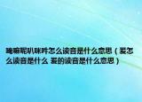 唵嘛呢叭咪吽怎么读音是什么意思（爰怎么读音是什么 爰的读音是什么意思）