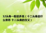 12头身一般是多高（十二头身是什么意思 十二头身的含义）