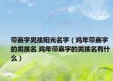 带嘉字男孩阳光名字（鸡年带嘉字的男孩名 鸡年带嘉字的男孩名有什么）