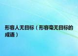 形容人无目标（形容毫无目标的成语）