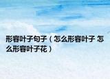 形容叶子句子（怎么形容叶子 怎么形容叶子花）